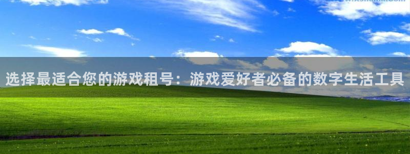 新宝gg是正规网站吗：选择最适合您的游戏租号：游戏爱好者必备