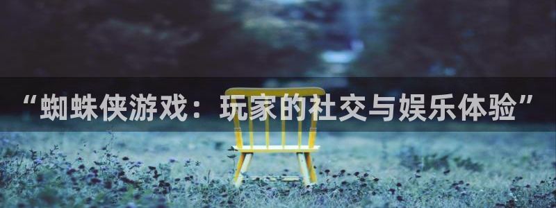 新宝gg计划在线：“蜘蛛侠游戏：玩家的社交与娱乐体验”