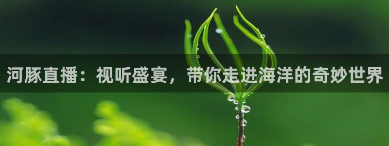 英超直播吧 极速体育：河豚直播：视听盛宴，带你走进海洋的奇妙世界