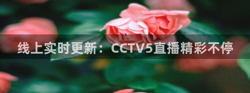 足球极速直播吧：线上实时更新：CCTV5直播精彩不停