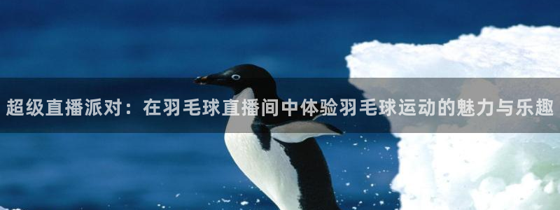 体育直播吧下载：超级直播派对：在羽毛球直播间中体验羽毛球运动的魅力与乐趣