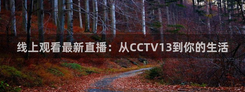 玩球体育直播吧：线上观看最新直播：从CCTV13到你的生活