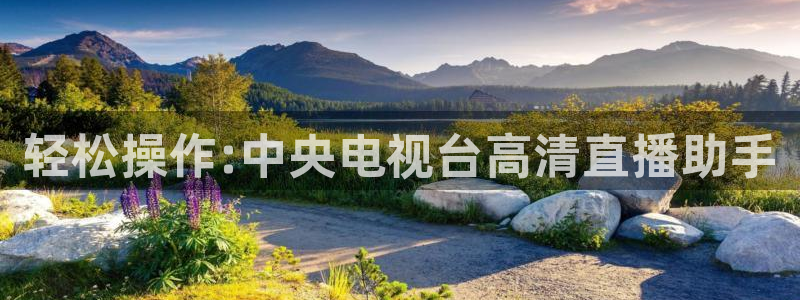 919直播吧体育：轻松操作:中央电视台高清直播助手