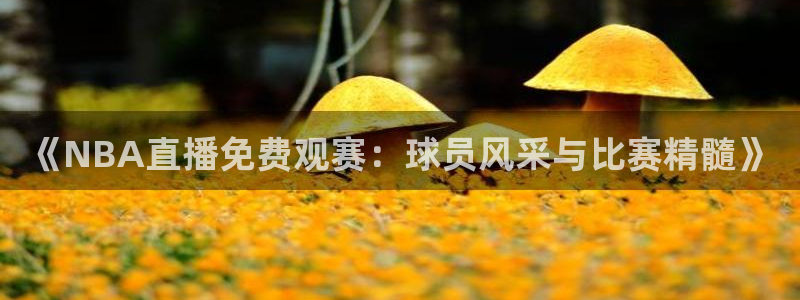 足球免费高清直播吧：《NBA直播免费观赛：球员风采与比赛精髓》