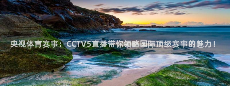 直播吧录像98篮球网：央视体育赛事：CCTV5直播带你领略国际顶级赛事的魅力！